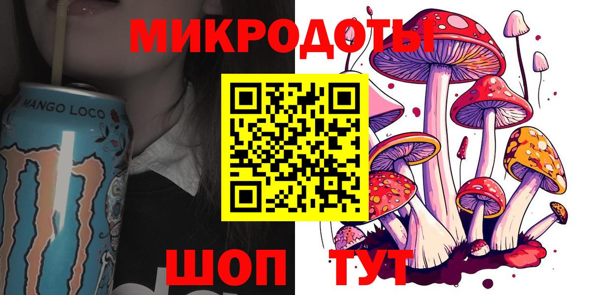 Псилоцибиновые грибы GOLDEN TEACHER  купить закладку  Вход с VPN  Казань  Псилоцибиновые грибы ЛСД 