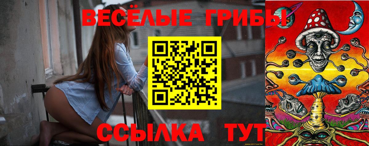 Галлюциногенные грибы GOLDEN TEACHER Казань
